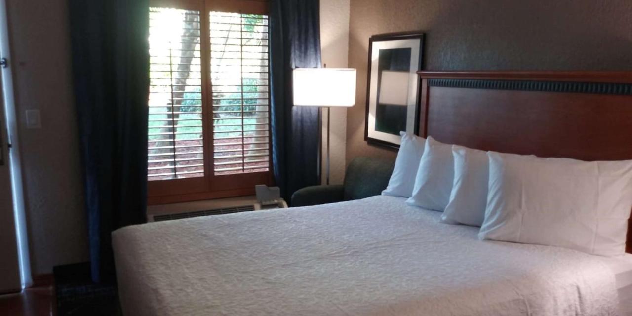Surestay Plus Hotel By Best Western Clearwater Central Dış mekan fotoğraf